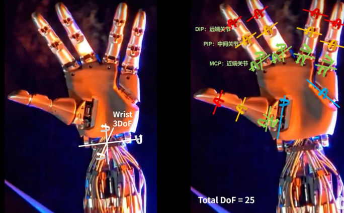 灵巧手自由运动-36氪 特斯拉